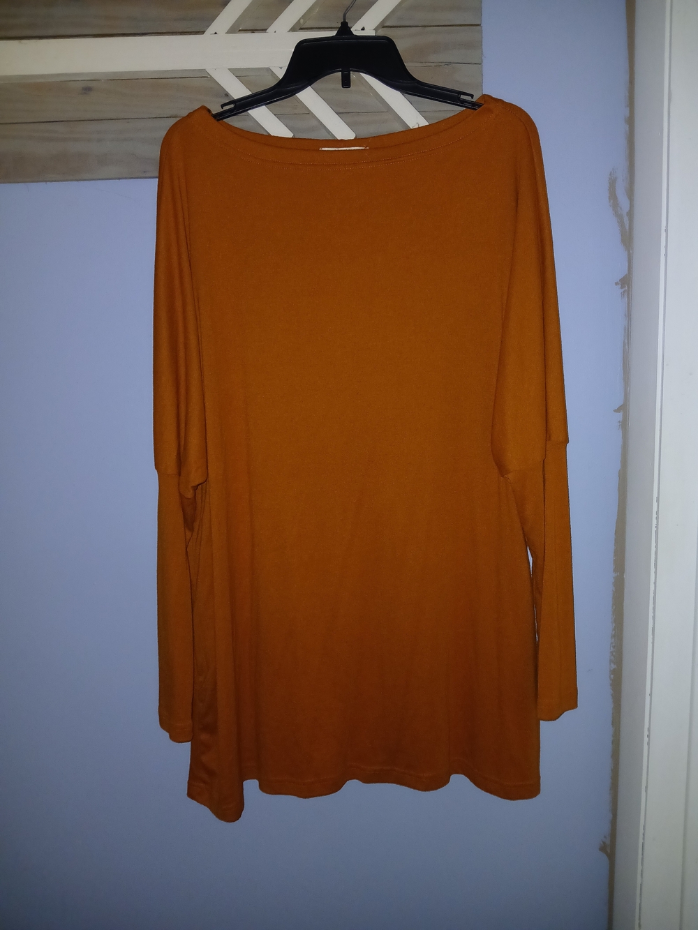 Women's Relaxed Long-Sleeve Tunic in Rust